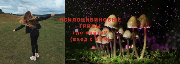 прущие крисы Богданович