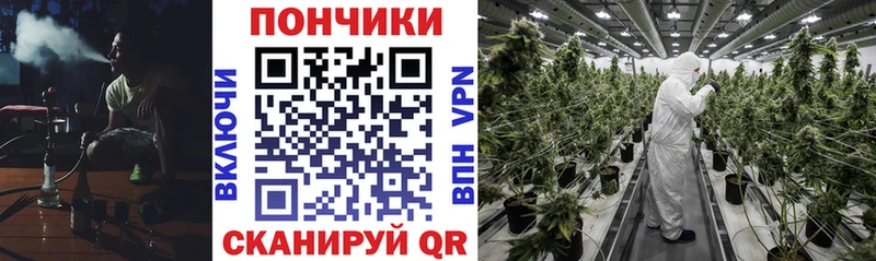 Марихуана тримм  где можно купить наркотик  Верещагино 